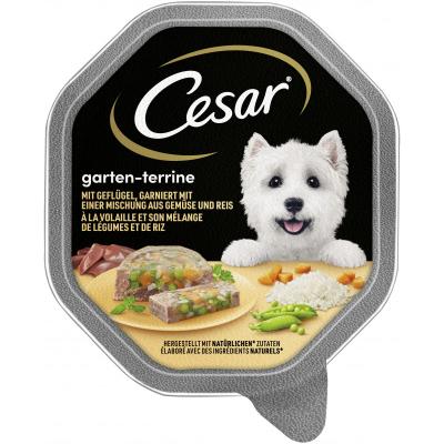 CESAR® Schale Garten-Terrine mit Geflügel, Gemüse und Reis 150g